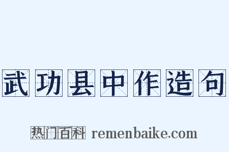武功县中作造句是什么意思的图片